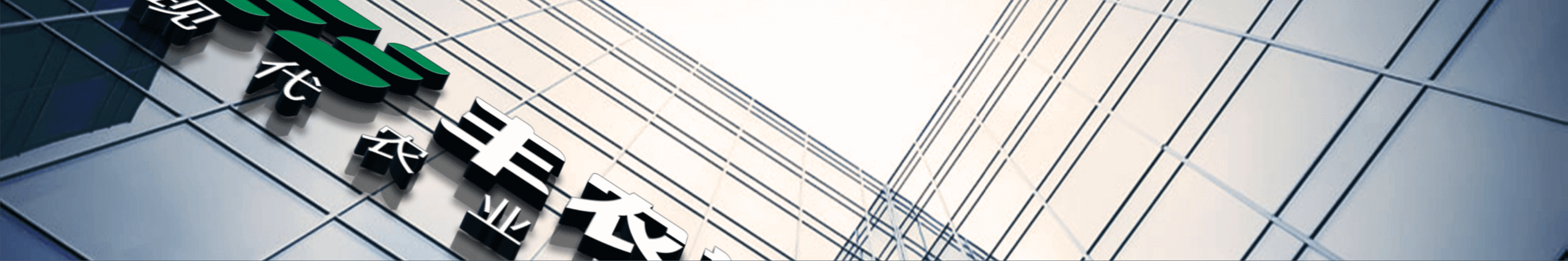 关于鼎点娱乐
顶部图