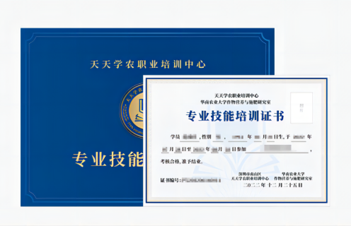 鼎点娱乐专业技能培训证书